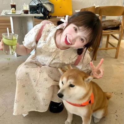 日巡者
